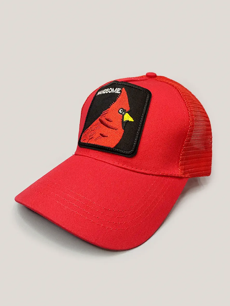 کلاه گورین قرمز طرح پرنده